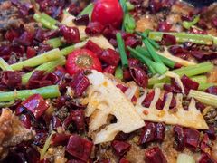 -老板恋上鱼(恒隆广场店)