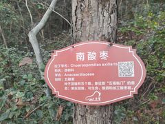 -玻璃桥景区石牛寨
