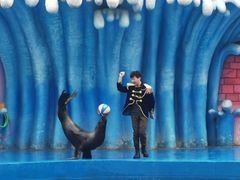 -华夏文旅海洋公园