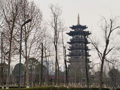 -洋湖国家湿地公园