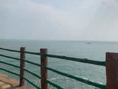 -广东惠东海龟国家级自然保护区