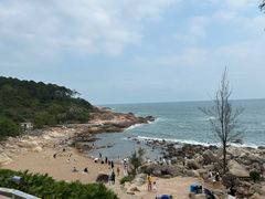 -广东惠东海龟国家级自然保护区