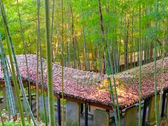 -严子陵钓台(富春江小三峡)