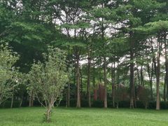 -荔香公园
