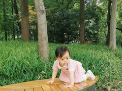 -陈家山荷花公园