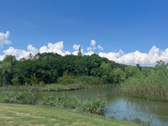 -上海吴淞炮台湾国家湿地公园