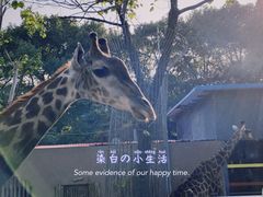 -荆州中山公园动物园