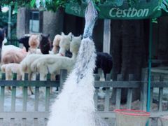 -南昌动物园