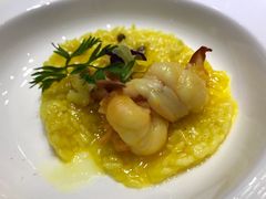 -诺莱仕游艇会
