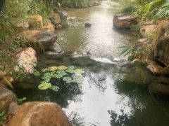 -熹乐谷温泉度假区