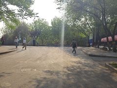 -永定河休闲森林公园