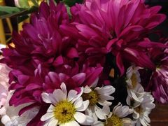 iphone_upload_pic-MIKAKU(万达广场上海宝山店)