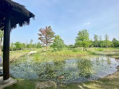 -广富林郊野公园