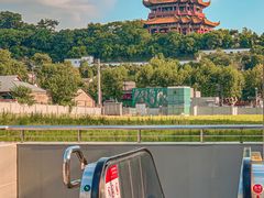 -循礼门鲜花花市(武汉循礼门店)