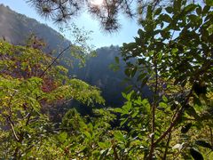 -天台山琼台仙谷景区