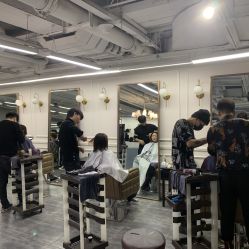 -MYCOLORHARSALON