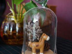 -碧露轩·大益茶体验馆(镇江路店)