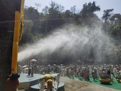 -西双版纳原始森林公园