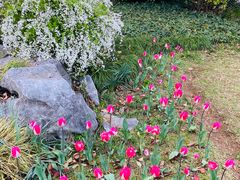 -浙江西子宾馆·瑶园咖啡厅