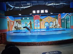 -重庆欢乐海底世界