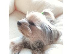 -拿渡·水煮鱼 麻辣香锅(西单大悦城店)
