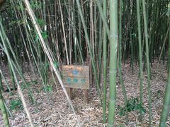 -澹台湖公园