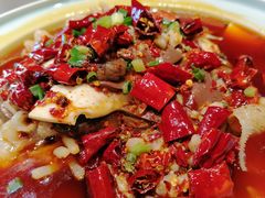 -鑫巴蜀小镇 · 水煮鱼专研店(玉桥店)