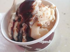 -哈根达斯(朝阳大悦城店)