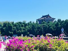 -老龙头景区