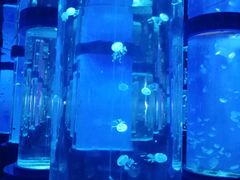 -石林冰雪海洋世界