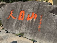 -天目山大树王景区