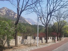 -北京凤凰岭