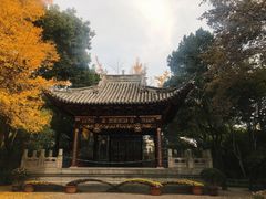-汇龙潭
