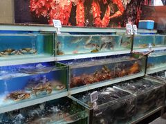 水产区-盒马鲜生(红莲店)