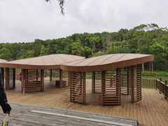 -同里国家湿地公园