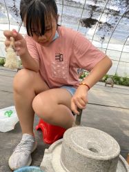 -前小桔亲子创意农场·草莓采摘·露营烧烤