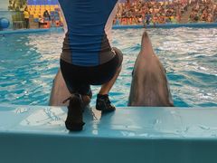 -尼莫海豚馆
