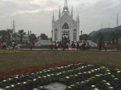 -爱丽丝仙境花海
