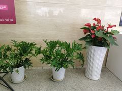 -中国移动(元通大厦营业厅)