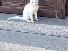-西林禅寺