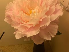 -金陵花卉交易市场