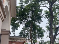 -观澜湖新城运动奥莱区