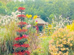 -上海共青森林公园