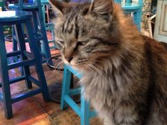 iphone_upload_pic-Sirena海妖日咖夜酒