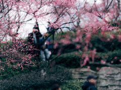 -重庆彩云湖湿地公园