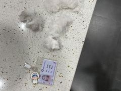 -宠爱国际动物医院·疑难骨科·心肾内科·皮肤科(太阳宫店)