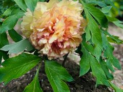 -江南大学(蠡湖校区)