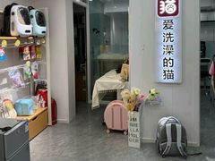 -爱洗澡的猫(望京店)