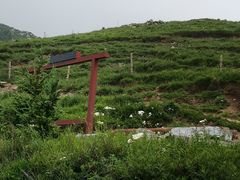 -灵山