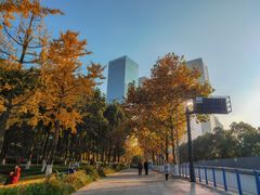 -重庆市江北嘴中央商务区中央公园